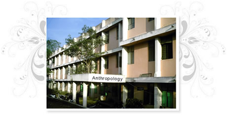 antropology_images