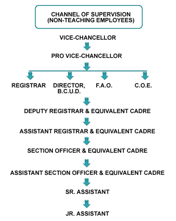 Organisation chart