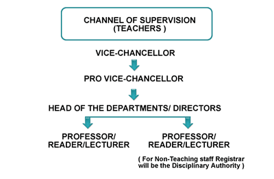 Organisation chart